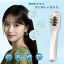 【2024改良型】 電気ブラシ EMS ブラシ 美顔器 電動頭皮ブラシ LED光エステ 頭皮3D振動 RF スカルプケア EP バイブレーション フェイスケア 1台多用 頭筋 表情筋 頭皮ケア Type-C充電式 男女兼用