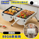 【屋外で☆新しい生活】 バーベキューコンロ 折りたたみ 小型 2〜4人用 3〜6人用 BBQコンロ ステンレス 送料無料 ファイアグリル 焚き火台 焚火台 バー...