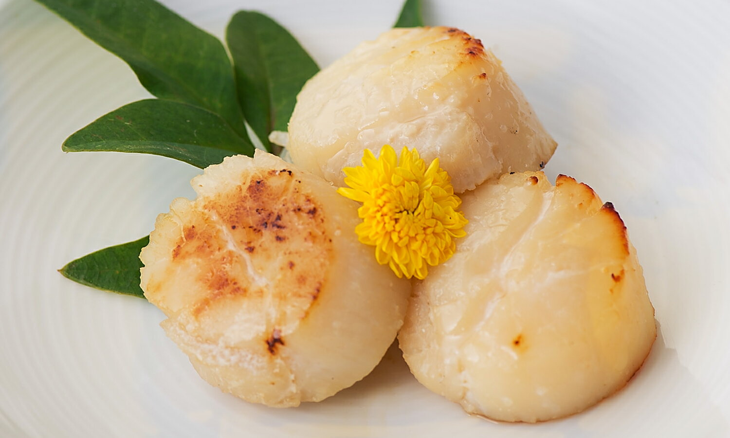 【ほたて貝柱粕漬　0h0203】三浦 三崎 自宅 お取り寄せグルメ おかず 海鮮 ご飯のお供 個包装 おつまみ..