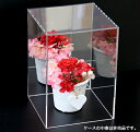 【台座無し】アクリルケース (背面ミラータイプ)板厚(3ミリ)(外寸)幅(300)奥(300)高(410)