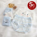 【時間限定10%OFF】ショーツ レディース インナー うさぎ柄 5枚組 5点セット M/L/XL 可愛い 綿ショーツ 中学生 10代20代30代 通気 伸縮性...