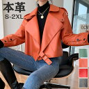 【Fashion THE SALE 20%OFF】レザージャケット ラムレザー 本革 レディース 冬 ショート丈 ライダースジャケット チェスターコート 革ジャン レザーコート 本皮 アウターショートコート おしゃれ ギフト 冬 きれいめ ダウン M L XL XXL 3XL 4XLブラック ワイン ブルー(4)