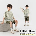 【時間限定10%OFF】セットアップ 男の子 おしゃれ カジュアル 夏 アロハ 2点セット カジュアルシャツ 半袖シャツ ハーフパンツ キッズ 上下セット グリーン 子供服 竹柄 こども服 ジュニア 半袖 シャツ ショートパンツ ベビー服 男児 おしゃれ 可愛い 子供シャツ