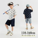 【時間限定10%OFF&5倍ポイント】子供服 男の子 Tシャツ 半袖 普段着 通園 通学 夏 折り襟 通気 吸汗 トップス 綿100% boy 子供服 春 夏 ...