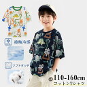 【時間限定10%OFF&5倍ポイント】子供服 男の子 Tシャツ 半袖 普段着 通園 通学 夏 ラウンドネック 涼感 通気 吸汗 100%綿 トップス コットン ...