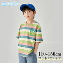 【Fashion THE SALE 20%OFF】子供服 男の子 Tシャツ 半袖 普段着 通園 通学 夏 ラウンドネック 涼感 通気 吸汗 綿 トップス コット...