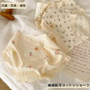 【Fashion THE SALE 20%OFF】綿 ショーツ コットン 下着 インナー レディース 女性 綿パン パンツ 可愛い かわいい 少女 レース スタ...
