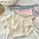 【Fashion THE SALE 20%OFF】綿 ショーツ コットン 下着 インナー レディース 女性 綿パン パンツ 可愛い かわいい 少女 レース スタ...