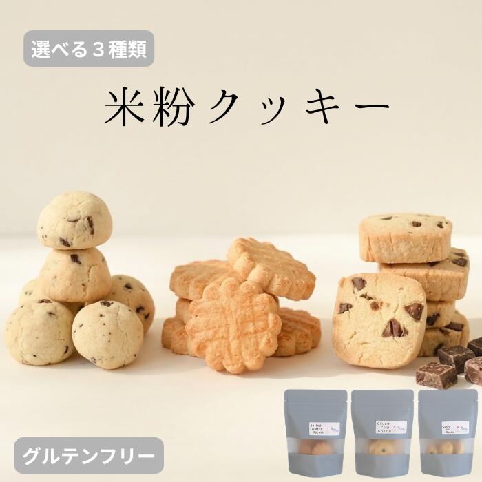 お菓子 クッキー ビーガン キング製菓 うの花クッキー 80g 3個セット