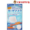 【メール便対応】ガーゼマスク 大判 2枚入