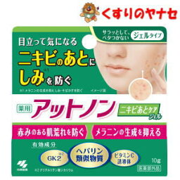 【メール便対応】小林製薬 アットノン ニキビあとケアジェル 10g／【医薬部外品】