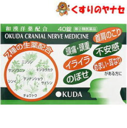 【メール便対応】奥田製薬 奥田脳神経薬 40錠／【指定第2類医薬品】