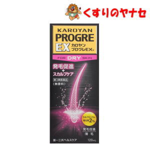 ※カロヤン プログレ EX D 120mL ／【第3類医薬品】