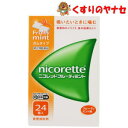 【メール便対応】※ニコレットフルーティミント 24個 /【指定第2類医薬品】/★セルフメディケーション税控除対象