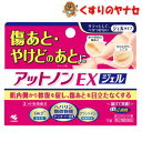 【メール便対応】小林製薬 アットノンEX ジェル 15g/【第2類医薬品】