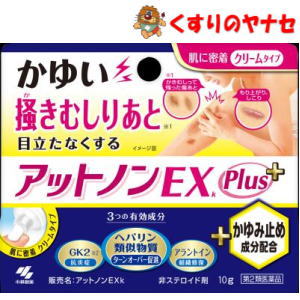 【メール便対応】アットノンEXプラス 10g ／【第2類医薬品】