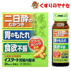 イスタート胃腸内服薬30ml×2本/【第3