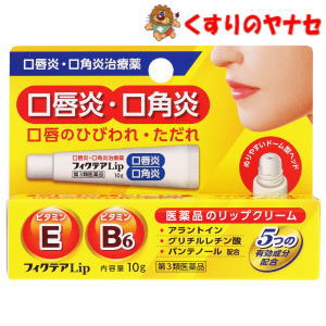 【メール便対応】フィクテアLip 10g ／【第3類医薬品】