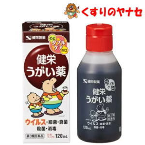 ※健栄うがい薬 120mL／【第3類医薬