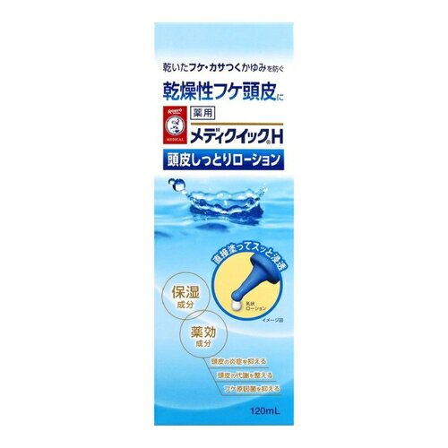 【医薬部外品】メディクイックH 頭皮しっとりローション 　【 120mL 】(ロ-ト製薬)【ヘアケア】