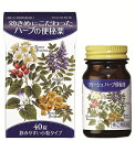 【第(2)類医薬品】リリーシェハーブ便秘薬　【40錠】(翠松堂製薬)