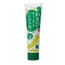 【訳あり品:外箱に傷有り】【数量限定】わさび歯みがき 【100g】(パネス)