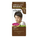 ルシード ワンプッシュケアカラー ナチュラルブラウン (医薬部外品) 【1剤50g・2剤50g】(マンダム)【MEN'S】【メンズ/ヘアカラー】
