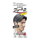 メンズビゲン　グレーヘア　ダークグレー【40g＋40g】　（ホーユー）　【MEN'S】【メンズ/ヘアカラー】