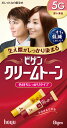 ビゲン クリームトーン 5G 【40g+40g】(ホーユー)【ヘアカラー/白髪染め】