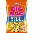 ポテトチップス　ビッグバッグ　うすしお味　【170g×12個】(カルビー)【お菓子】