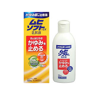 ★【第3類医薬品】ムヒソフト　乳状液　120ml　(池田模範