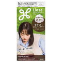 リーゼ 泡カラー 髪色もどし ナチュラルブラウン 【115ml】(花王)
