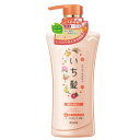 (取り寄せ商品納期1〜2週間)いち髪 濃密W保湿ケア シャンプー ポンプ【480ml】 (クラシエH...