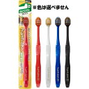 プレミアムケアハブラシ 6列コンパクト ふつう ※色は選べません 【1本】(エビス)(4)