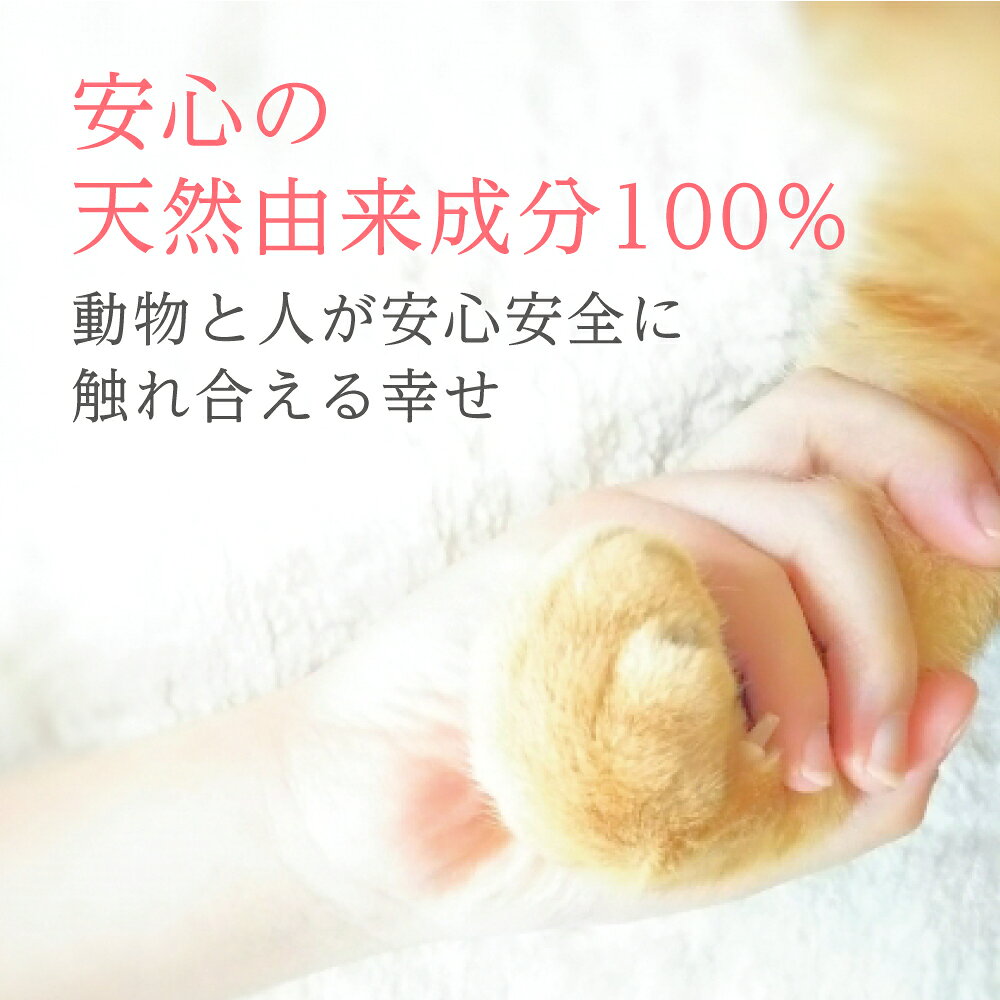 【犬猫と一緒に暮らす人のためのハンドクリーム・ボディミルク2点セットギフト】犬 猫 ペット べたつかない オーガニック 無添加 無香料 プレゼント 敏感肌 誕生日 猫好き 手荒れ 乾燥 保湿 潤い ポスト便 誕プレ 贈り物 バースデー hbah-project-10000134 ビューティープロジェクト サンプル画像3