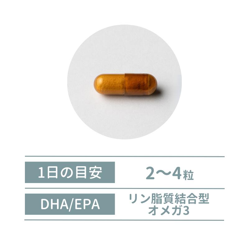 【40日分】 脳活 免疫 抗酸化 オメガ3 ク...の紹介画像2