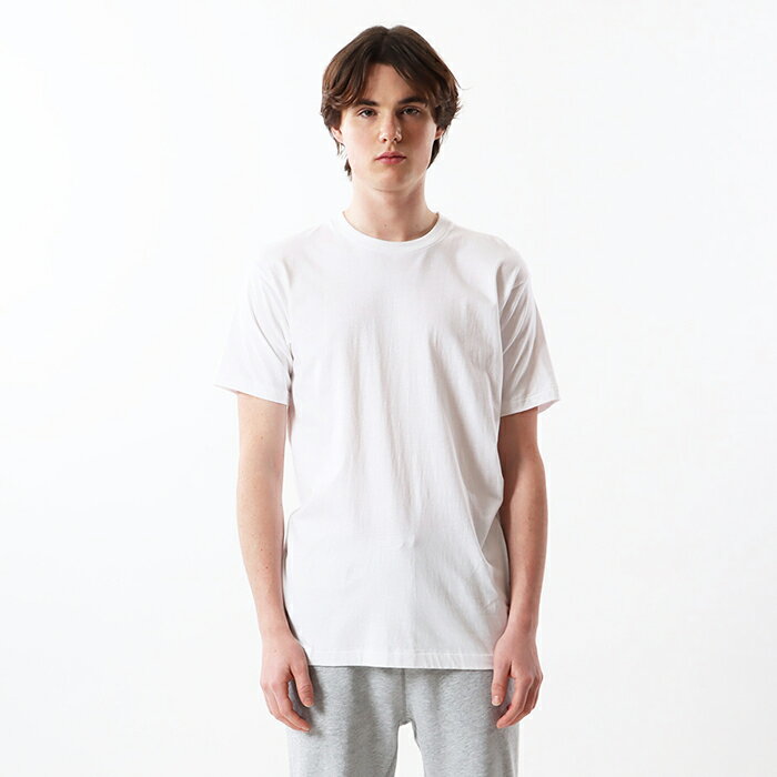 【公式】ヘインズ Hanes 【3枚組】ゴールドラベルクルーネックTシャツ 22FW ゴールドパック ヘインズ(HM2155G)