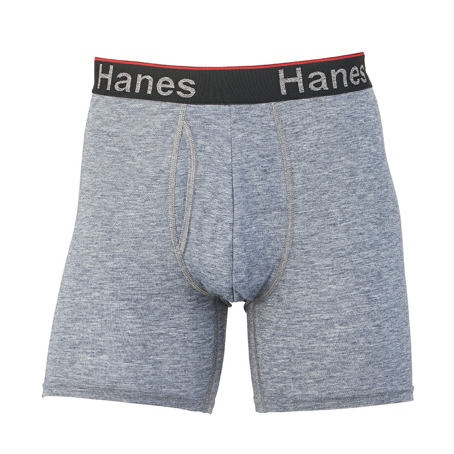 【公式】ヘインズ Hanes COMFORT FLEX FIT トータルサポートポーチ ボクサーブリーフ 25SS ヘインズ(HM6EW101)★ ショーツ 下着 パンツ M L LL アンダーウエア まとめ買い トランクス男性 オールシーズン 着心地良い 肌触り 無地 ロゴ メンズ 男性 オールシーズン