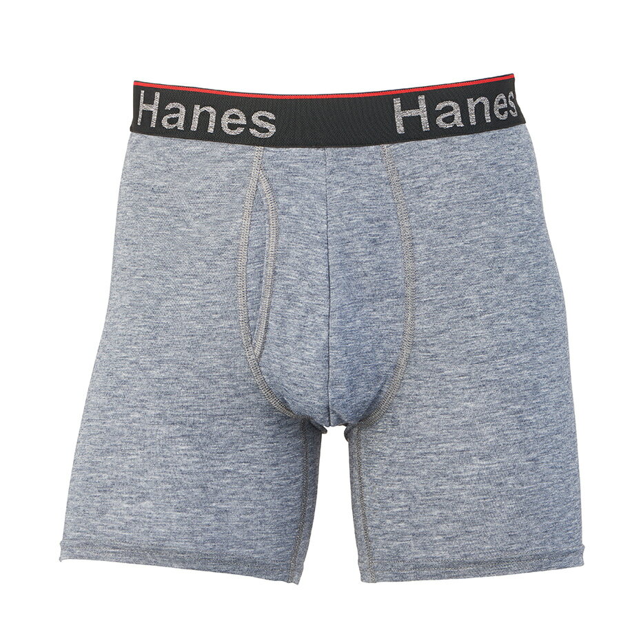 【公式】ヘインズ Hanes COMFORT FLEX FIT トータルサポートポーチ ボクサーブリーフ 23FW ヘインズ(HM6EW101)★ ショーツ 下着 パンツ M L LL アンダーウエア まとめ買い トランクス男性 オールシーズン 着心地良い 肌触り 無地 ロゴ メンズ 男性 オールシーズン