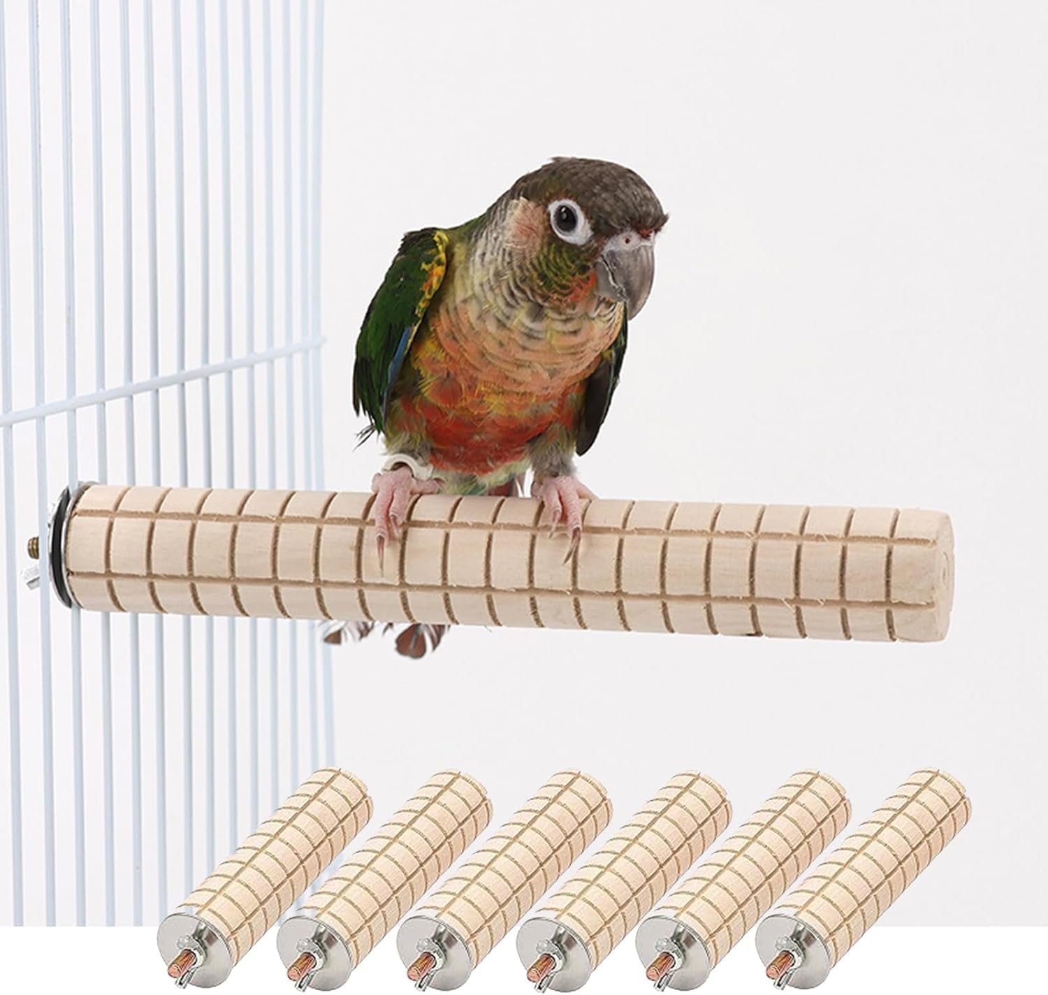 (あき) かじり木コーン オウム 止まり木 6個セット 3x11cm ウサギ ハムスター 小動物 噛むおもちゃ 止..