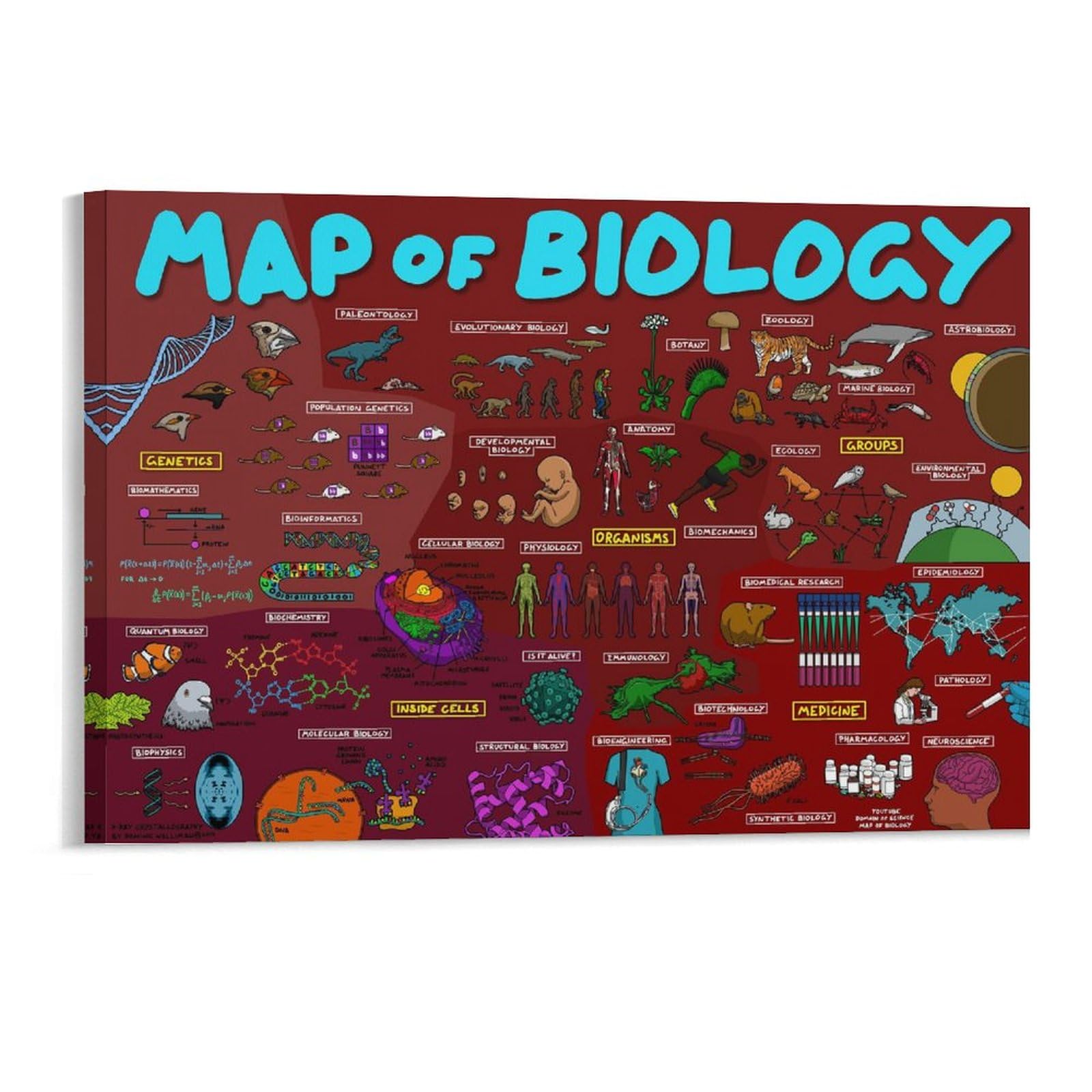 生物学相対性理論の地図、数式、教室ポスター、教室の装飾、地図ポスター 1624インチ(4060) フレームス..