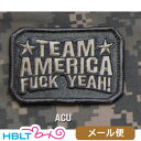 ベルクロ式パッチ・ワッペン 商品説明 Great for when you want to sport your affiliation with Team America.Hook fastener sewn on the back 3"x 2" ※数値はインチ表記です。1インチは約2.54センチメートル。 メーカー希望小売価格はメーカーカタログに基づいて掲載しています JAN 4968861009845