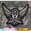 パッチ MSM ミルスペックモンキー Modern Spartan(刺繍) メール便 対応商品/ベルクロ パッチ ワッペン ミリタリー スパルタン ヘルメット サバゲ 装備 MIL-SPEC MONKEY サバゲー