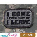 パッチ MSM ミルスペックモンキー I Come(刺繍) メール便 対応商品/ベルクロ パッチ ワッペン ミリタリー サバゲ 装備 MIL-SPEC MONKEY サバゲー(3)