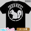 ミリタリー Tシャツ MSM ミルスペックモンキー Secret Squirrel メール便 対応商品/MIL-SPEC MONKEY サバゲー