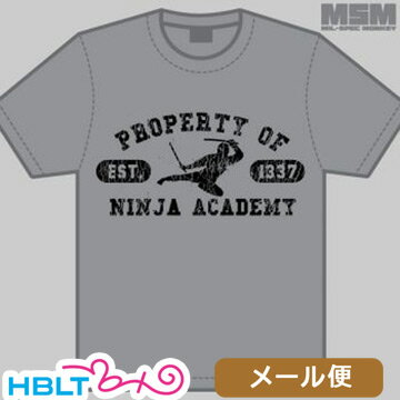 ミリタリー Tシャツ MSM ミルスペックモンキー Ninja Academy メール便 対応商品/MIL-SPEC MONKEY サバゲー