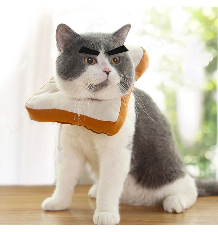 エリザベスカラー 犬 猫 ソフト ドーナツ クッション 果物模様 食べ物模様 5種類選...