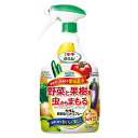 フマキラー カダン野菜用ハンドスプレー 1000ml