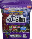 サンアンドホープ すべてのベリーの肥料 500g