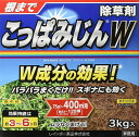 レインボー薬品 除草剤 こっぱみじんW 3kg